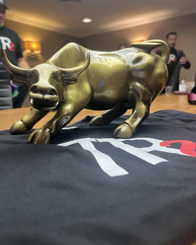 Bull Wall Street TR Tutoria